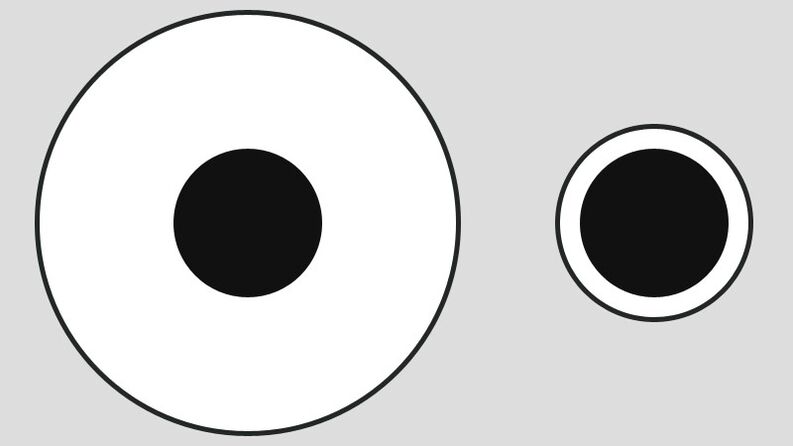 Delbeufo iliuzija - skirtingas patiekalo dydžio suvokimas didelėse ir mažose lėkštėse